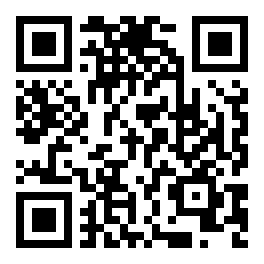 QR-код группы MAX